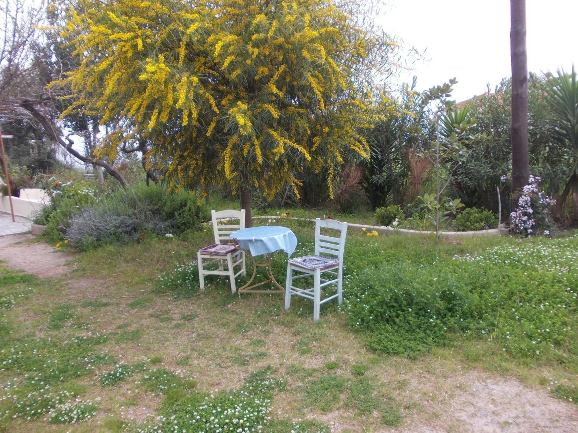 Kassimiotis Aparthotel Agios Andreas  Ngoại thất bức ảnh