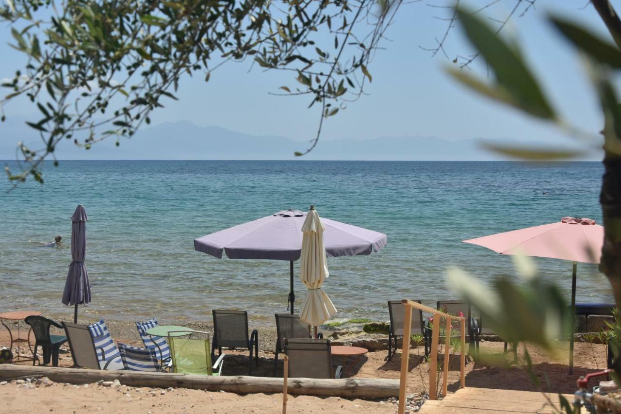 Kassimiotis Aparthotel Agios Andreas  Ngoại thất bức ảnh